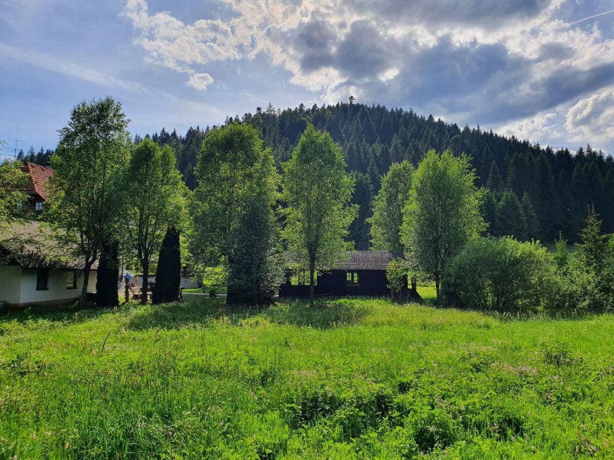 Finkenhof Hotel Schluchsee Exterior foto